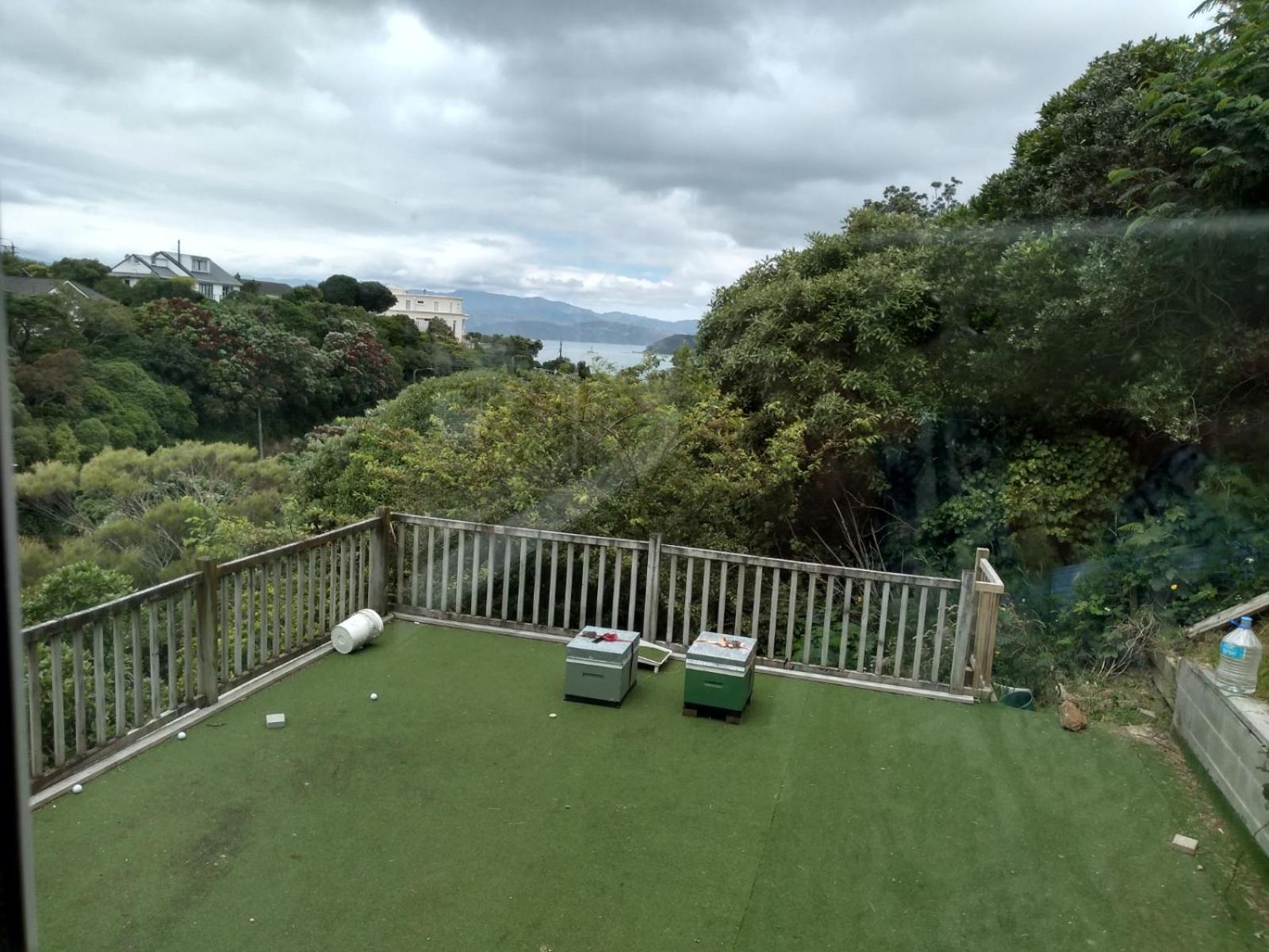 Quiet Location With View And Public Transport Appartement Wellington Buitenkant foto